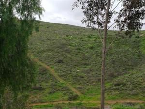 MLS #190029895 image #0