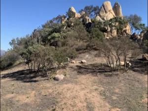 MLS #210014876 image #0