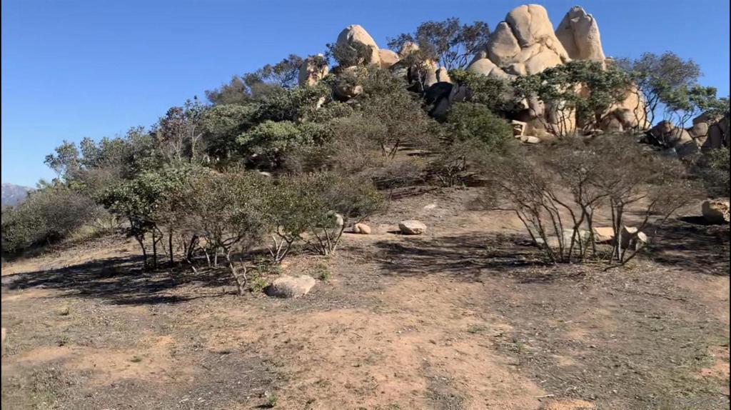 MLS #210014876 image #0