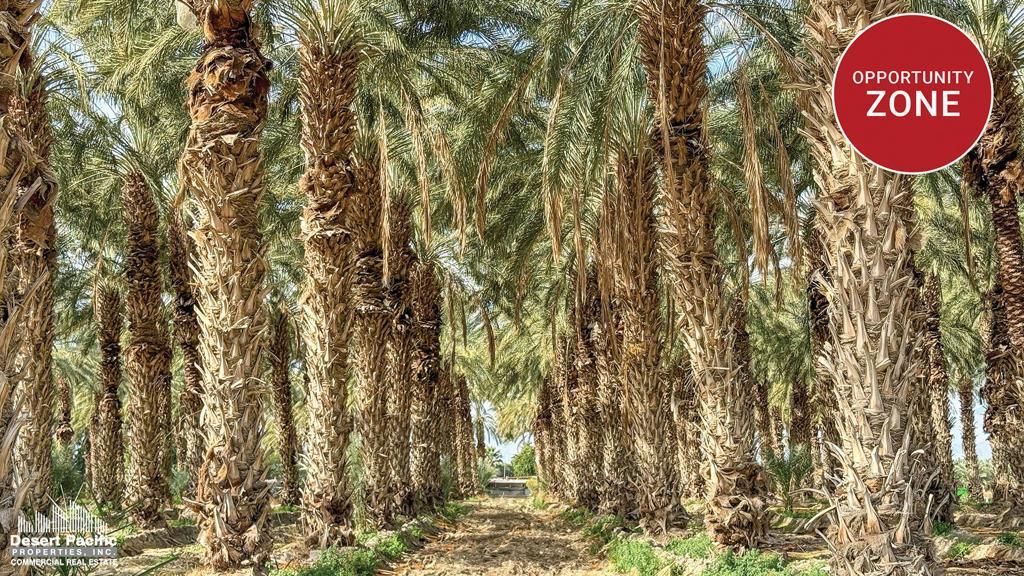 MLS #219106881DA image #0