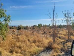 MLS #219110982DA image #0