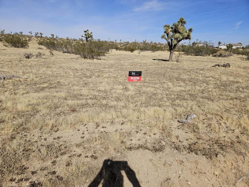 1 Sunflower DR Yucca Valley CA 92284 | MLS #219114873PS 45 MLS #219114873PS image #0