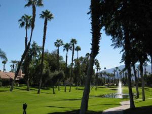 MLS #219116805DA image #0