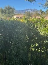 MLS #219122876DA img 0