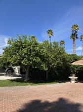 MLS #219125534DA image #0