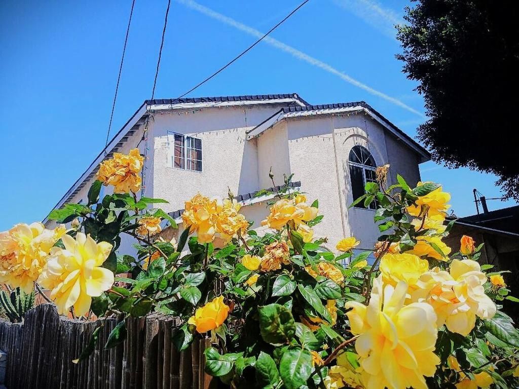 MLS #219128326DA image #0