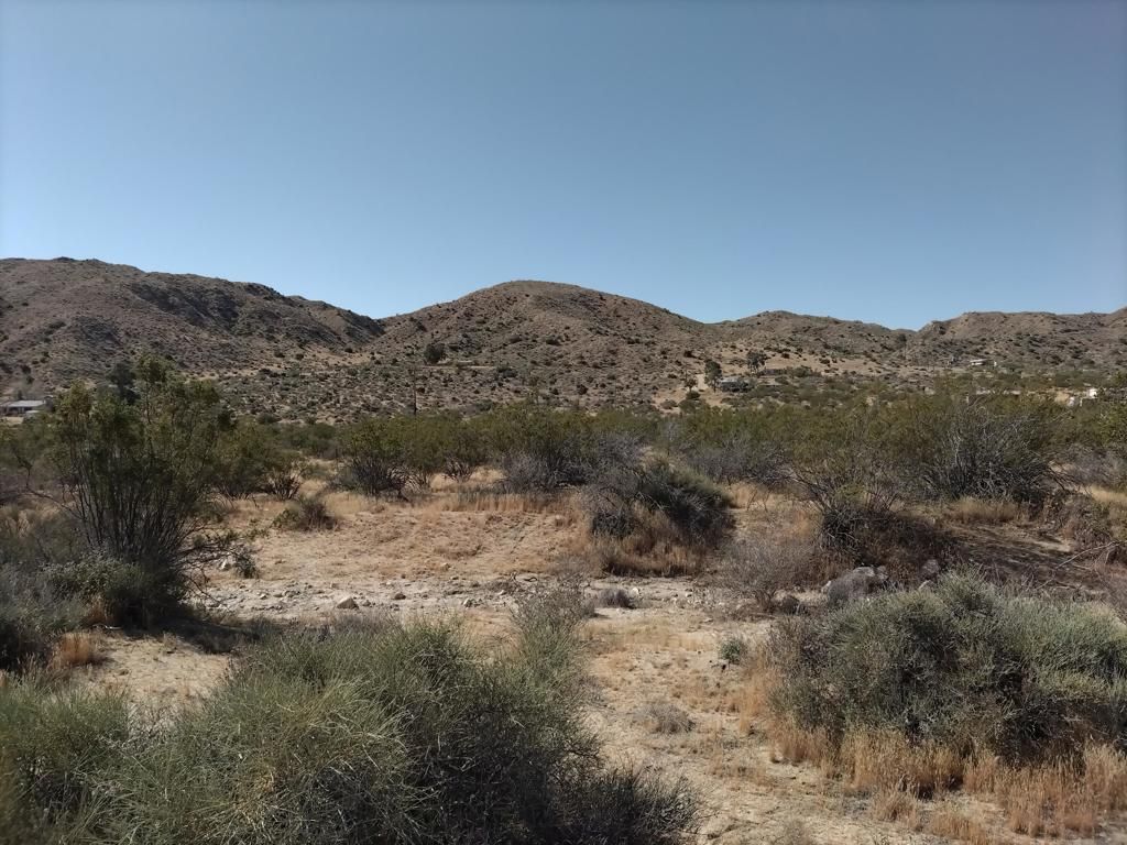 MLS #219128893DA image #0