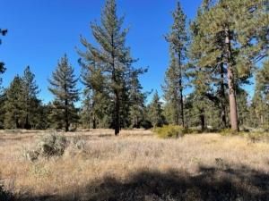 MLS #219129130DA img 0