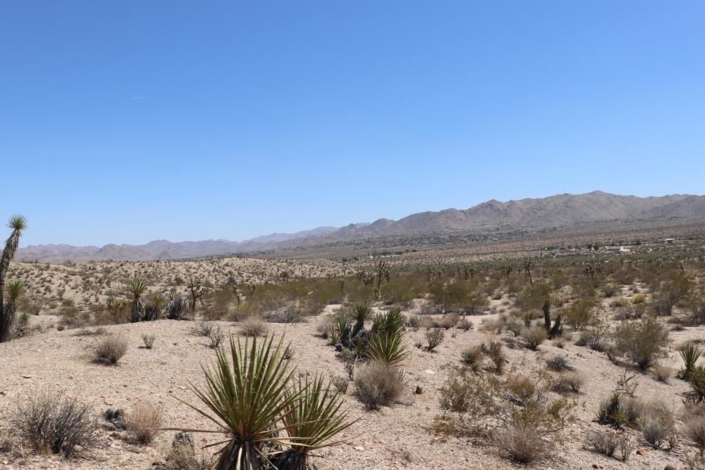 MLS #219130223DA image #0