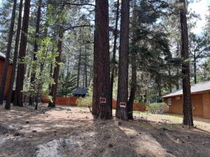 Summit Boulevard Lot 69 Big Bear CA 92315 | MLS #219131202PS 45 MLS #219131202PS image #0