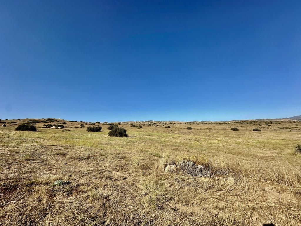 MLS #219131730DA image #0