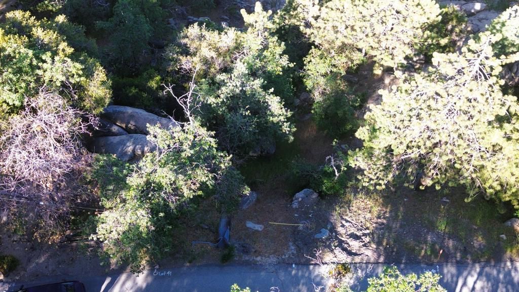 MLS #219131942DA image #0