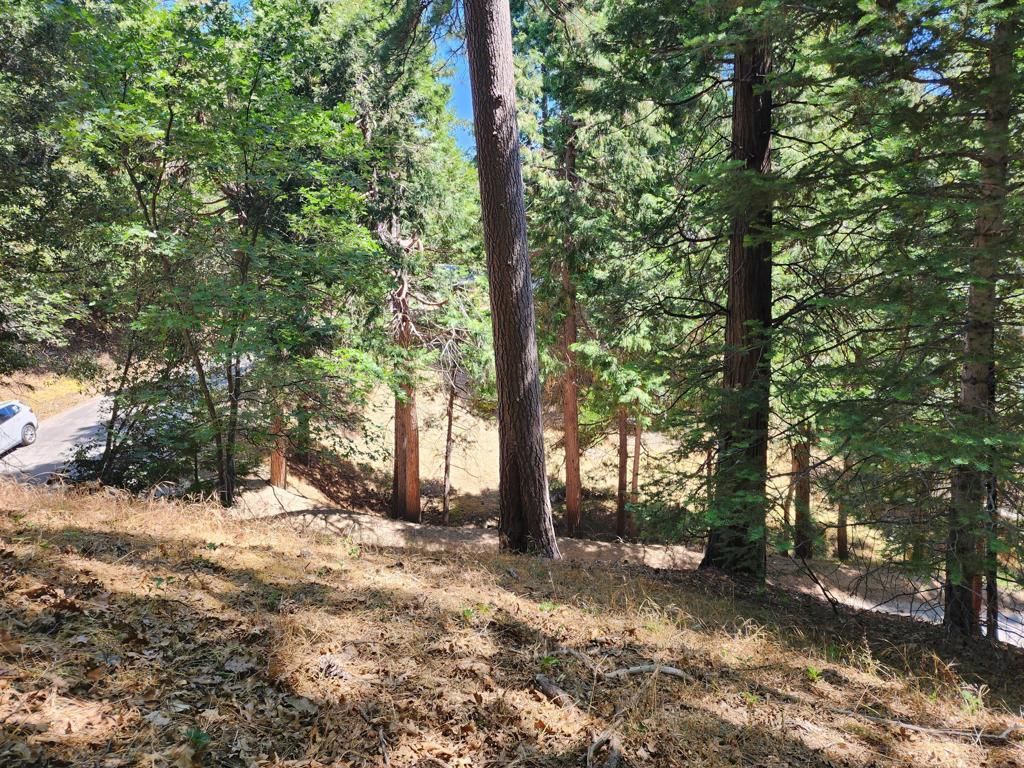 MLS #219132032DA image #0
