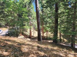 MLS #219132032DA image #0