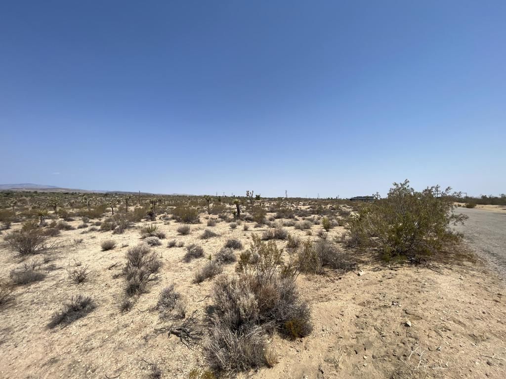 MLS #219132715DA image #0
