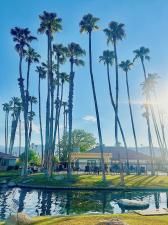 MLS #219133814DA image #0