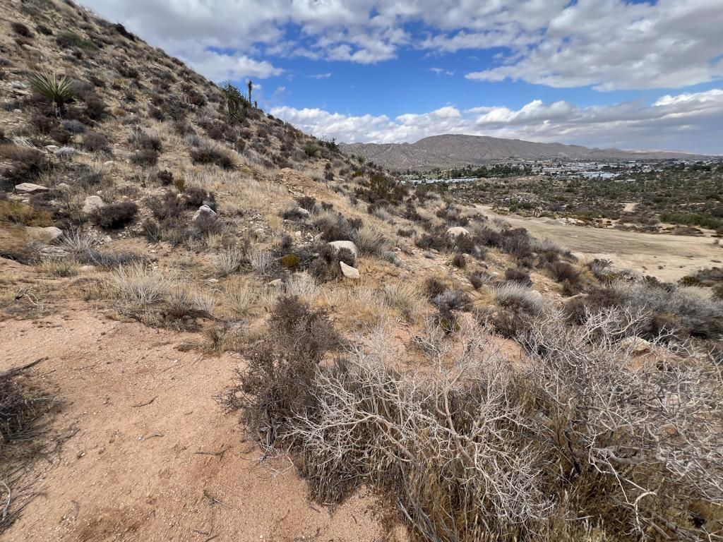 MLS #219133849DA image #0