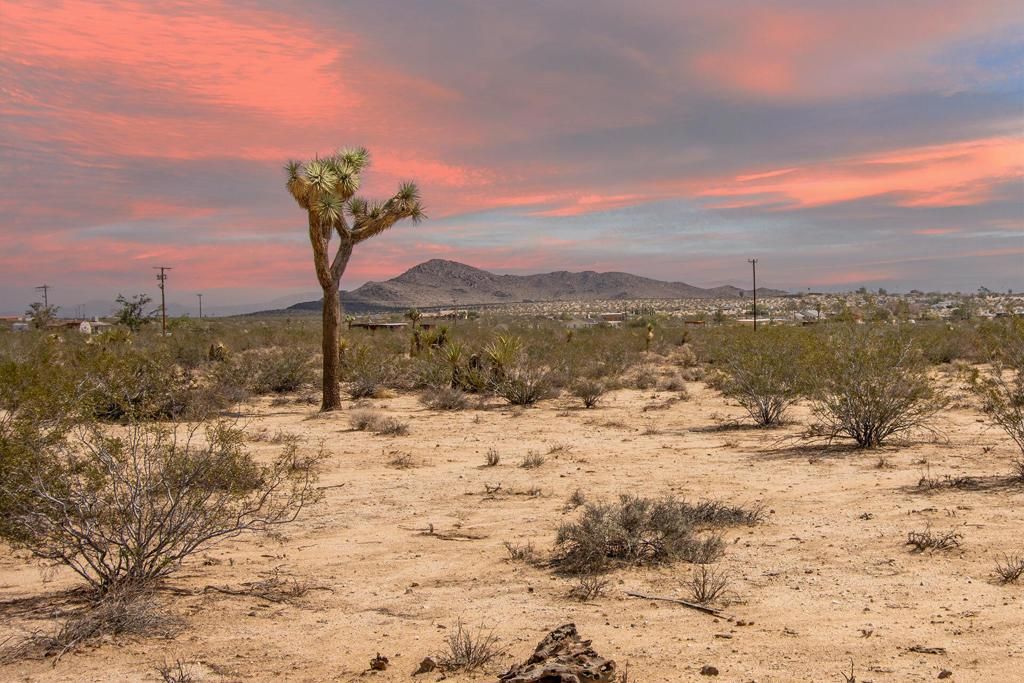 MLS #219134954PS image #0