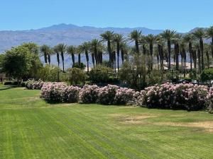 MLS #219137530DA image #0