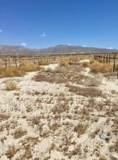 MLS #219137702DA image #0