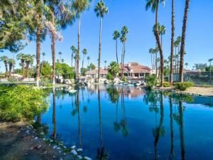 MLS #219138576DA image #0