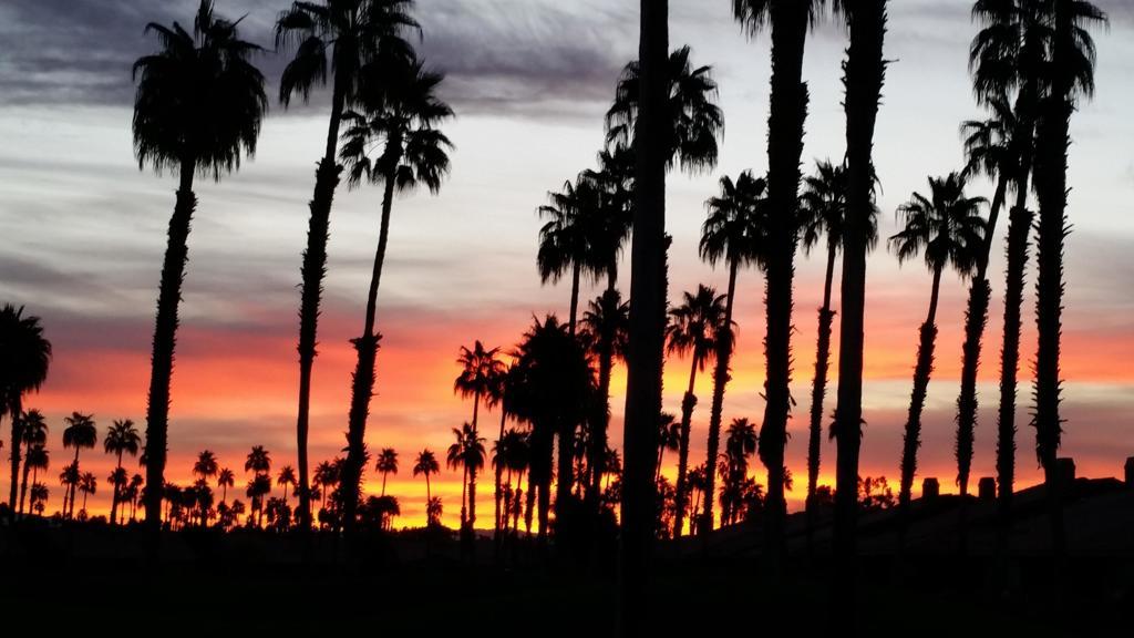 MLS #219139336DA image #0