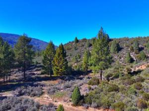 MLS #219141481DA image #0