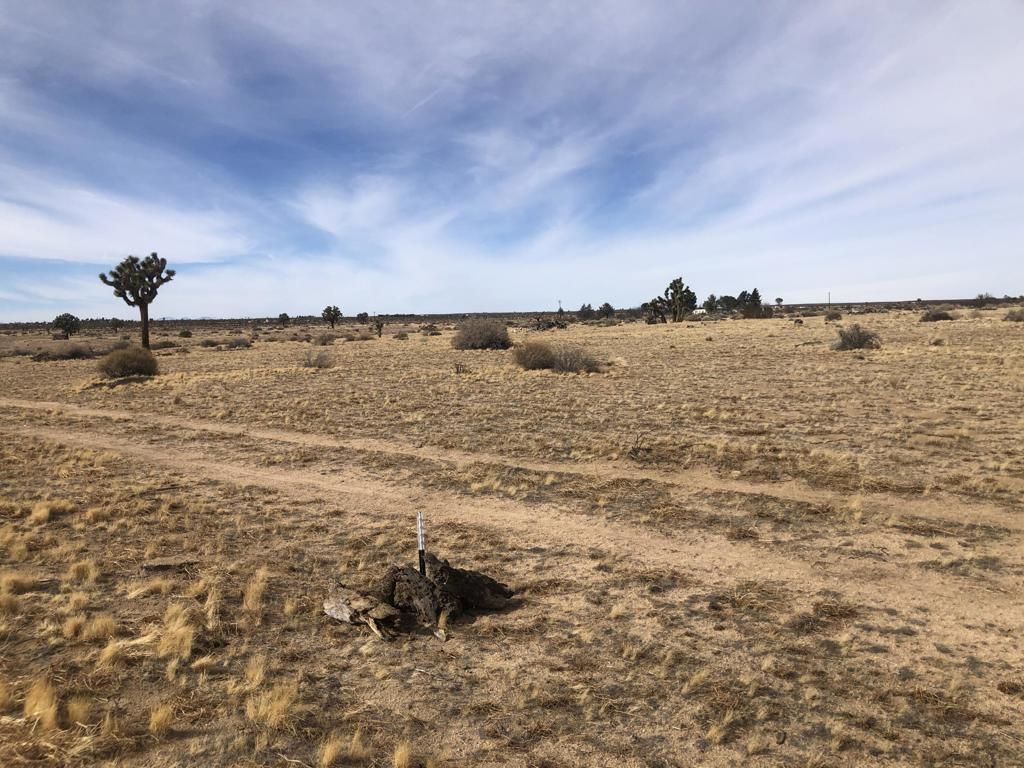 MLS #219142363DA image #0