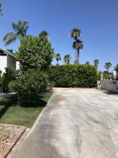 MLS #219142393DA image #0