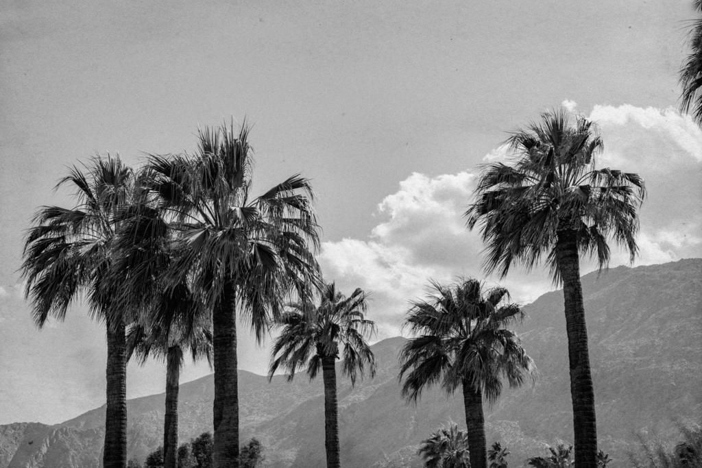 MLS #219142459DA image #0