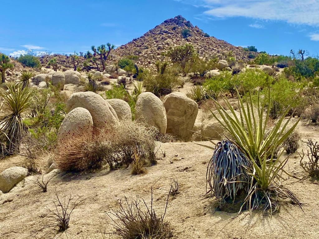 MLS #219143179PS image #0