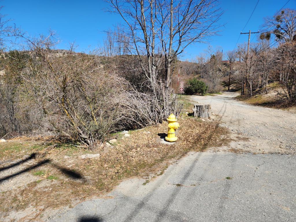 MLS #219145058DA image #0