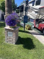 MLS #219145612DA image #0