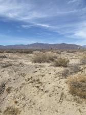 MLS #219146115DA image #0
