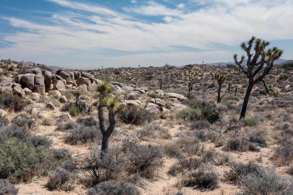MLS #219146209PS image #0