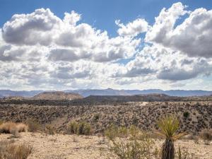 MLS #219146372PS image #0