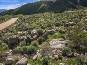 2321 Vista Palizada Drive Palm Springs CA 92262 | MLS #219147210PS 41 MLS #219147210PS image #0