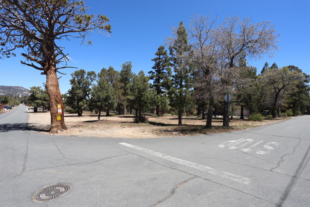 MLS #219147320DA image #0