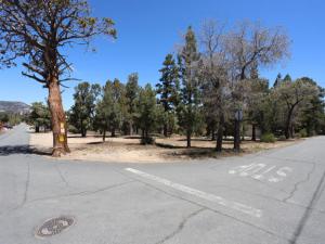 Dixie Lee Sugarloaf CA 92386 | MLS #219147320DA 45 MLS #219147320DA image #0