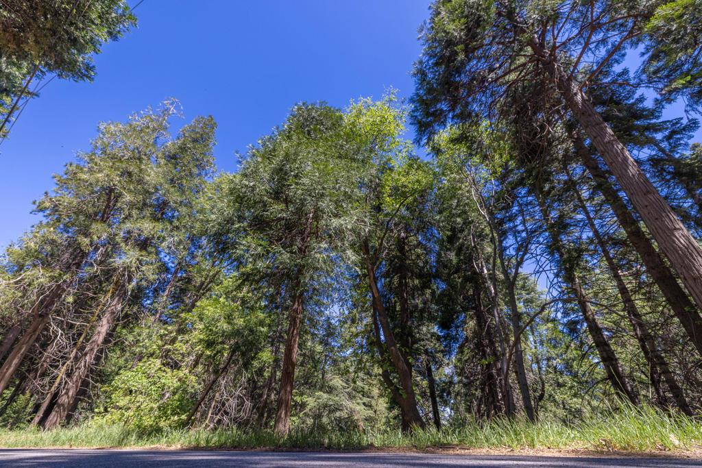 MLS #219147714DA image #0