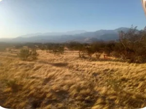broker reciprocity