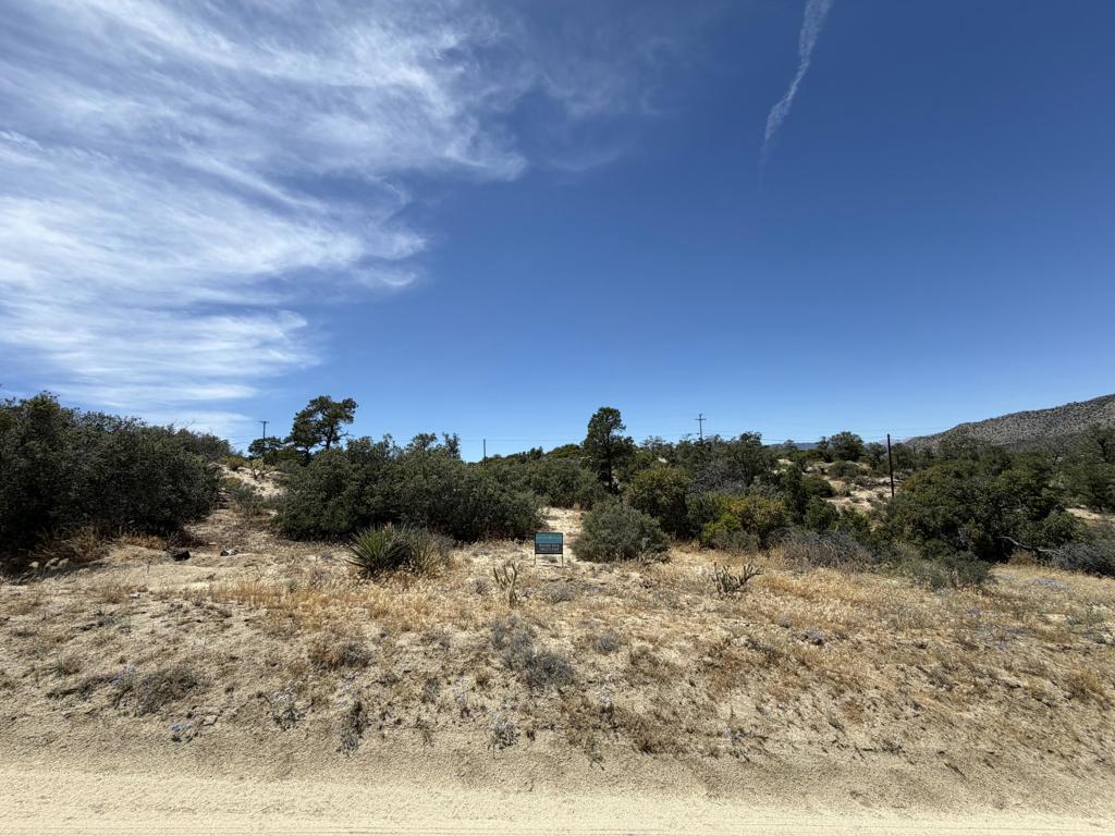 MLS #219147880DA image #0