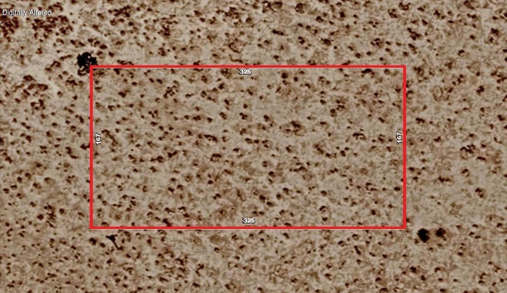 MLS #219148381DA image #0