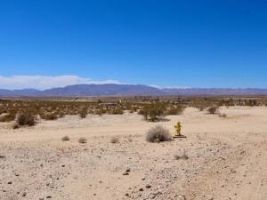 Goodie Lane 29 Palms CA 92277 | MLS #219148939DA 41 MLS #219148939DA image #0