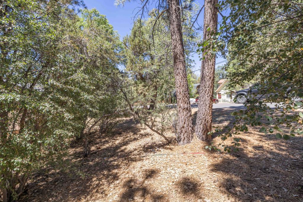 MLS #219149469PS image #0