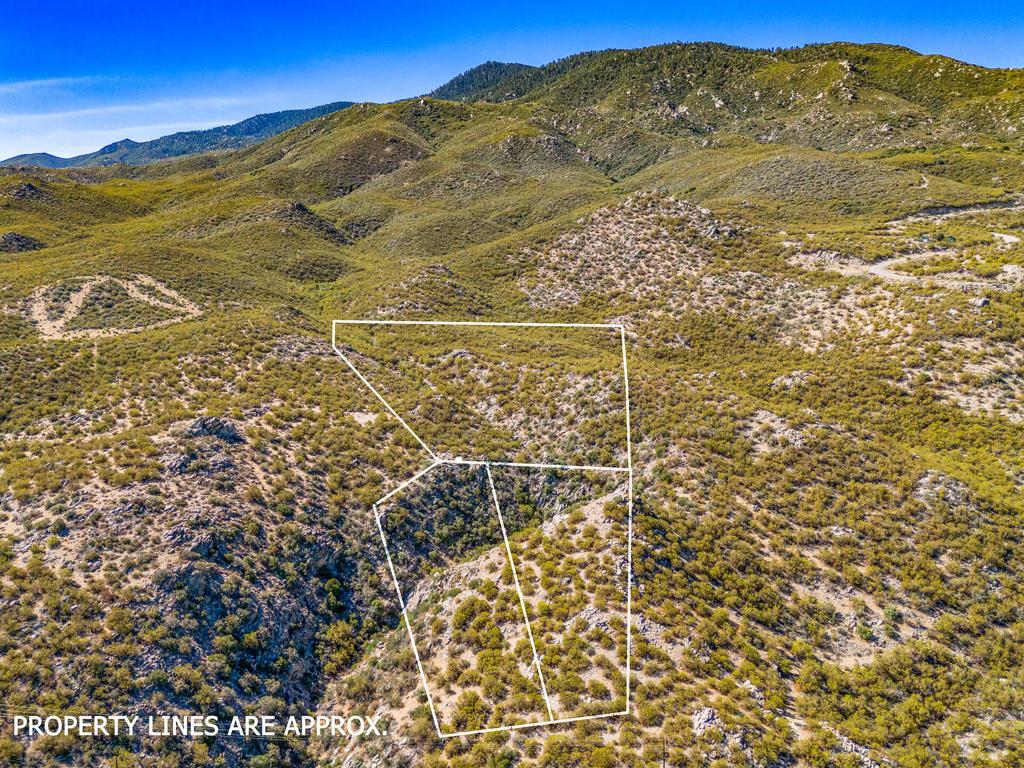 MLS #219149538DA image #0