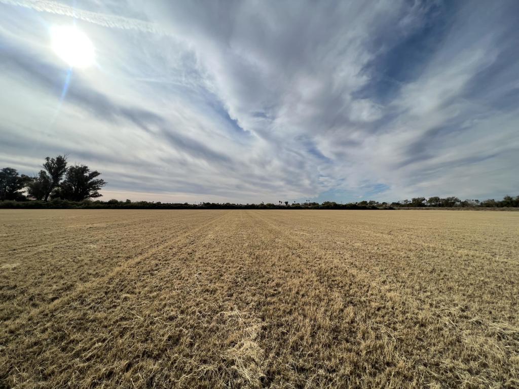 MLS #219149683DA image #0