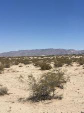 MLS #219149825DA image #0
