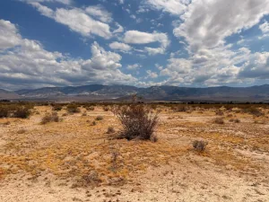 broker reciprocity