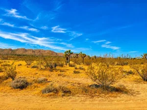 broker reciprocity